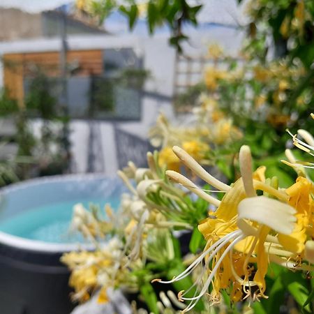 Le Petit Patio Bed & Breakfast เอก-มอร์ต ภายนอก รูปภาพ