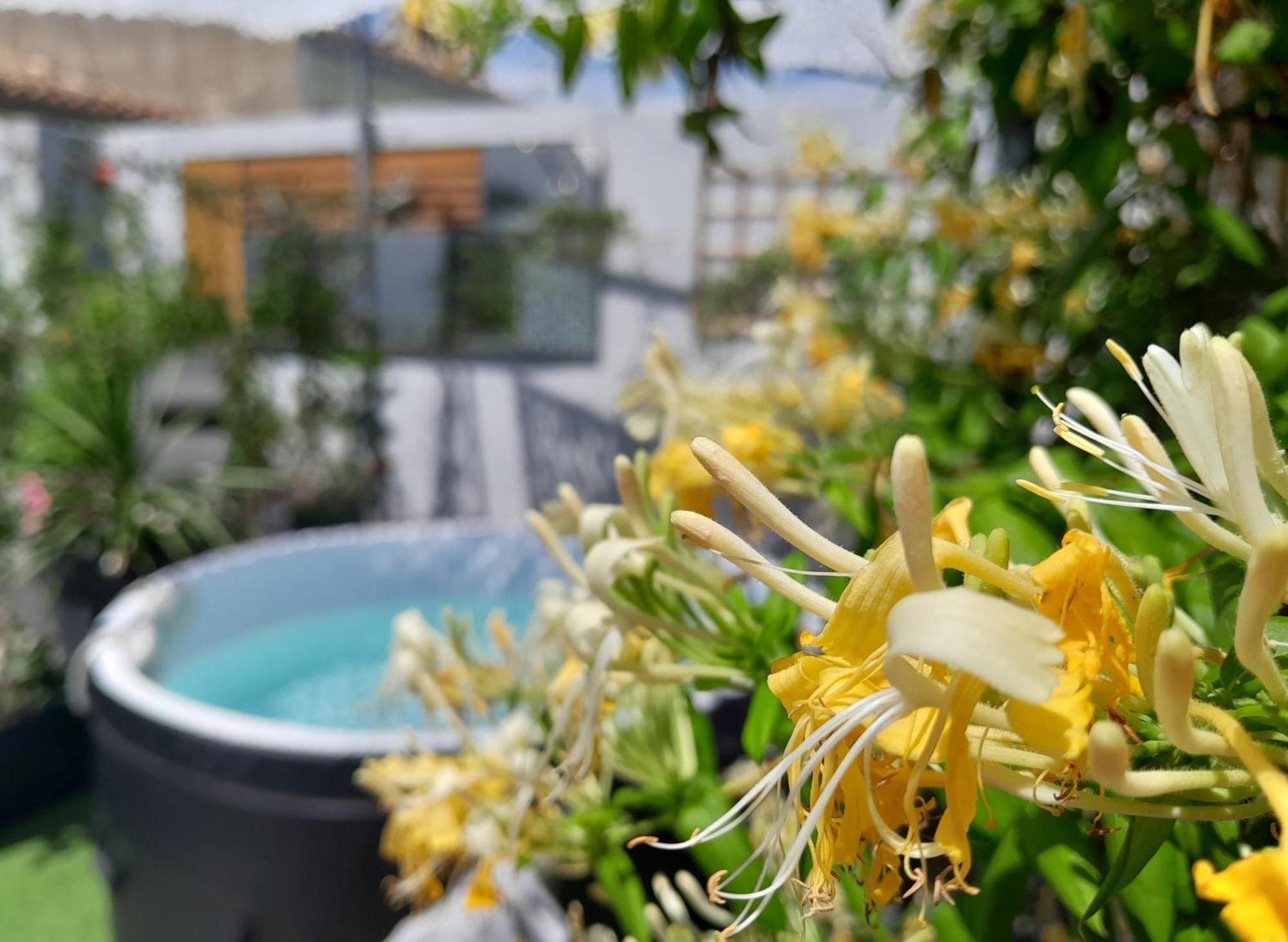 Le Petit Patio Bed & Breakfast เอก-มอร์ต ภายนอก รูปภาพ