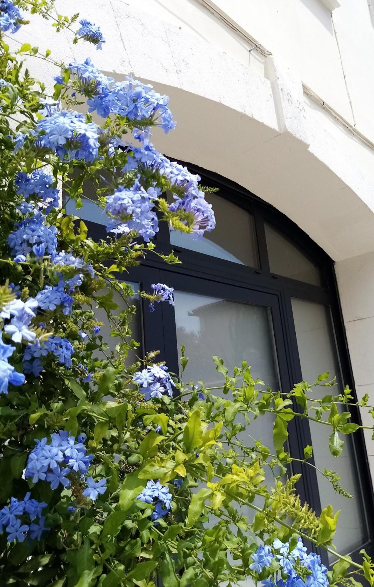 Le Petit Patio Bed & Breakfast เอก-มอร์ต ภายนอก รูปภาพ