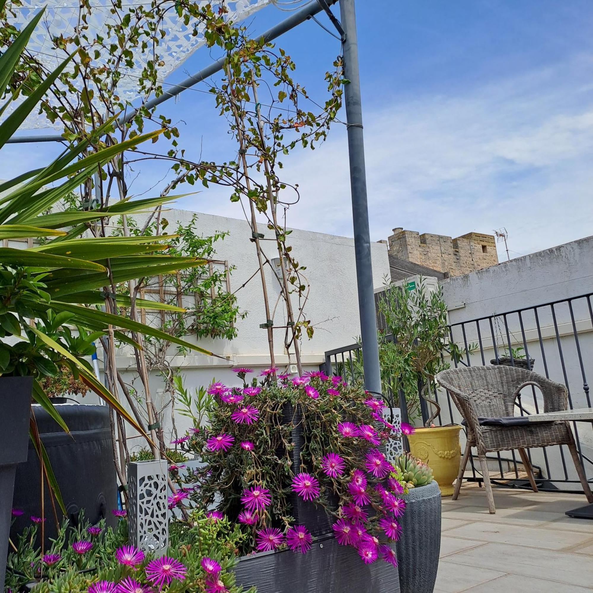 Le Petit Patio Bed & Breakfast เอก-มอร์ต ภายนอก รูปภาพ