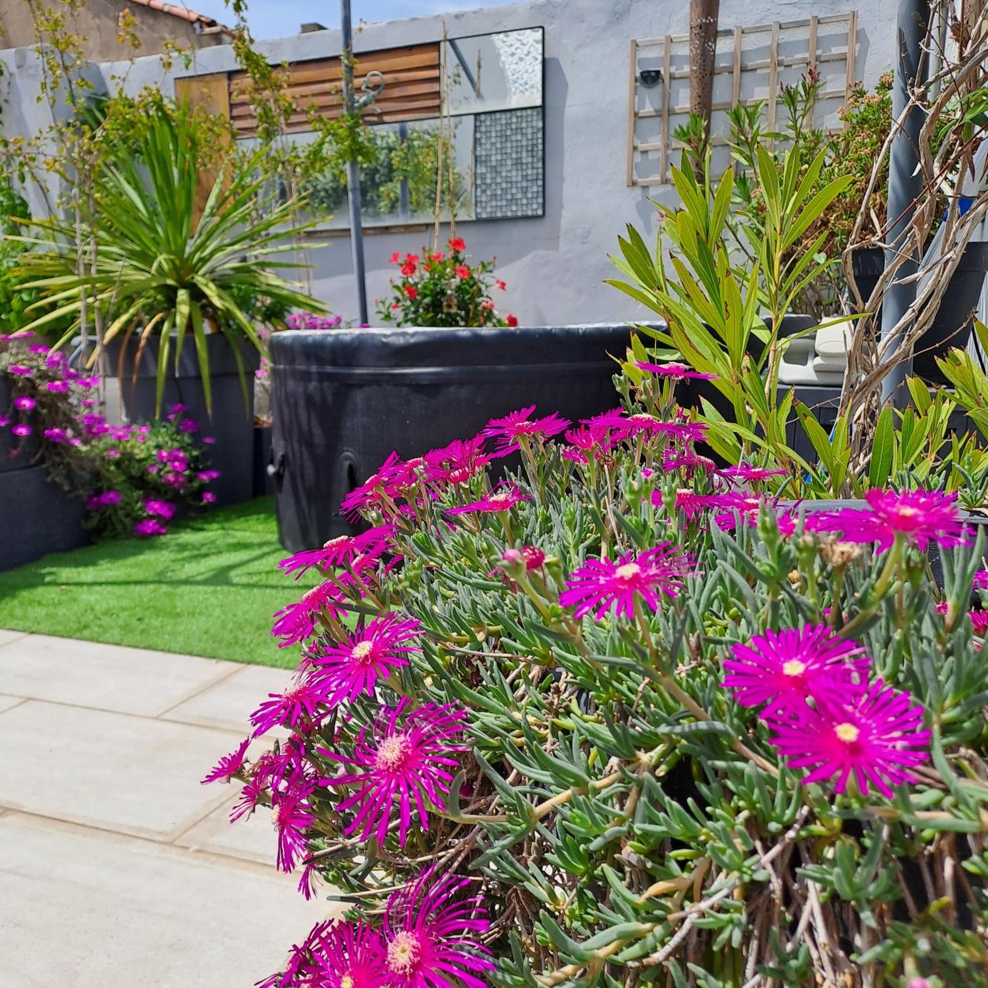 Le Petit Patio Bed & Breakfast เอก-มอร์ต ภายนอก รูปภาพ