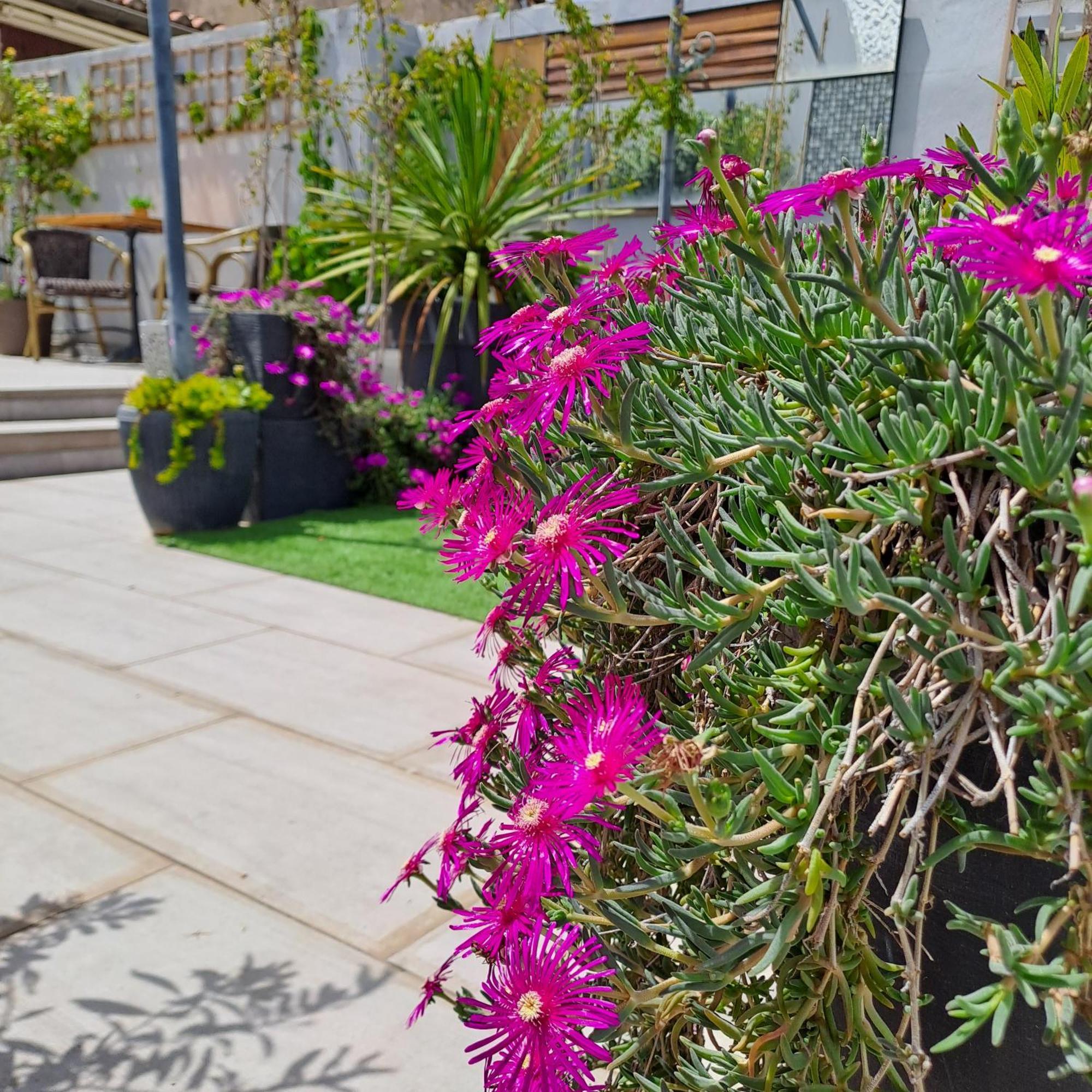 Le Petit Patio Bed & Breakfast เอก-มอร์ต ภายนอก รูปภาพ